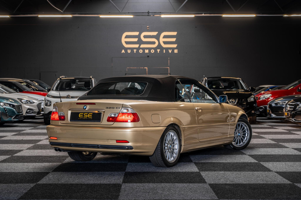 47051191-1.jpg